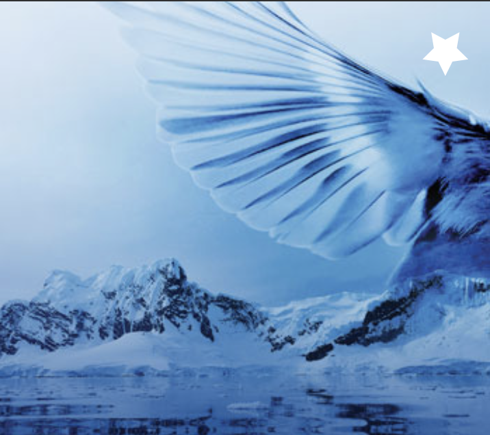 Blue image of a bird wing and frozen landscape.