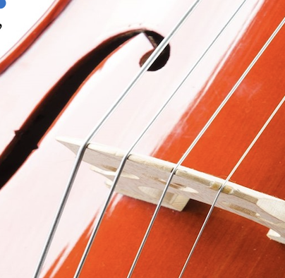 Close up of cello strings